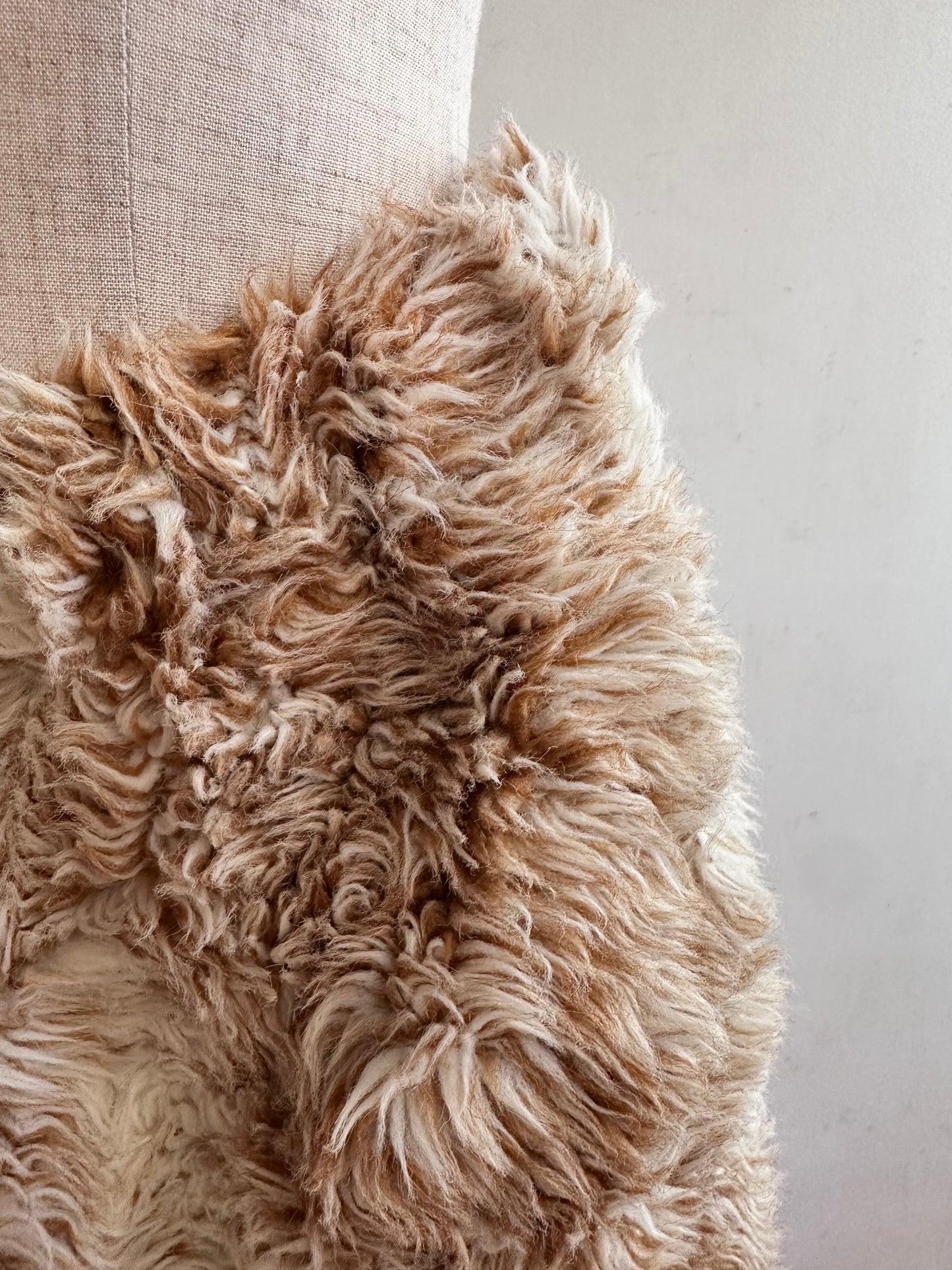 old fur short pants / spaniel