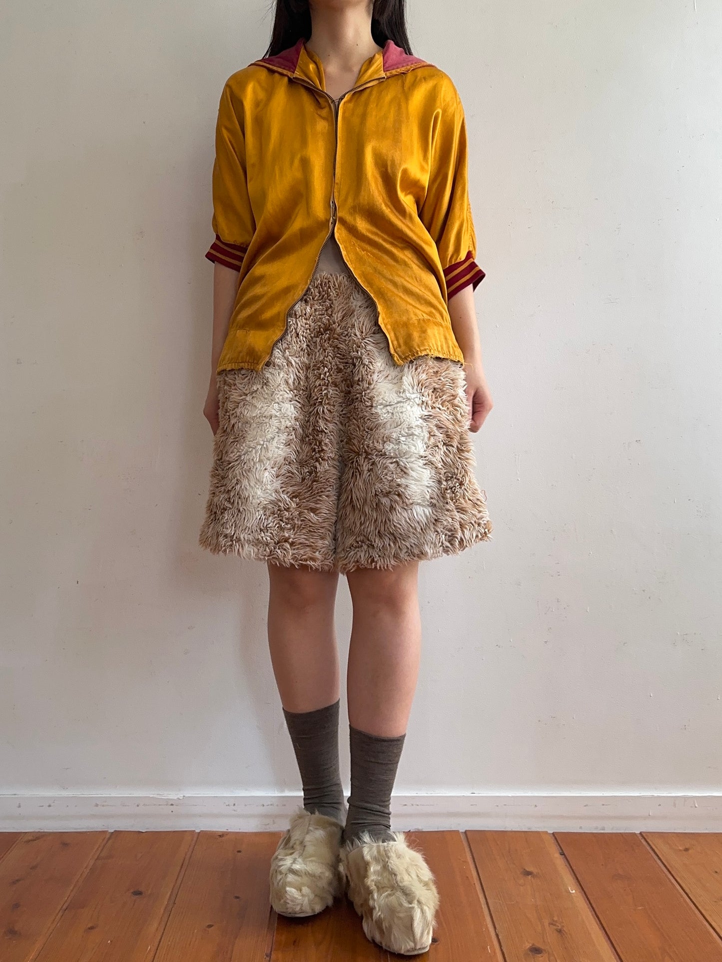 old fur short pants / spaniel