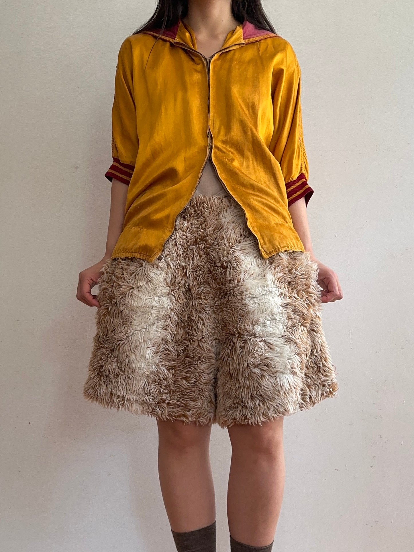 old fur short pants / spaniel