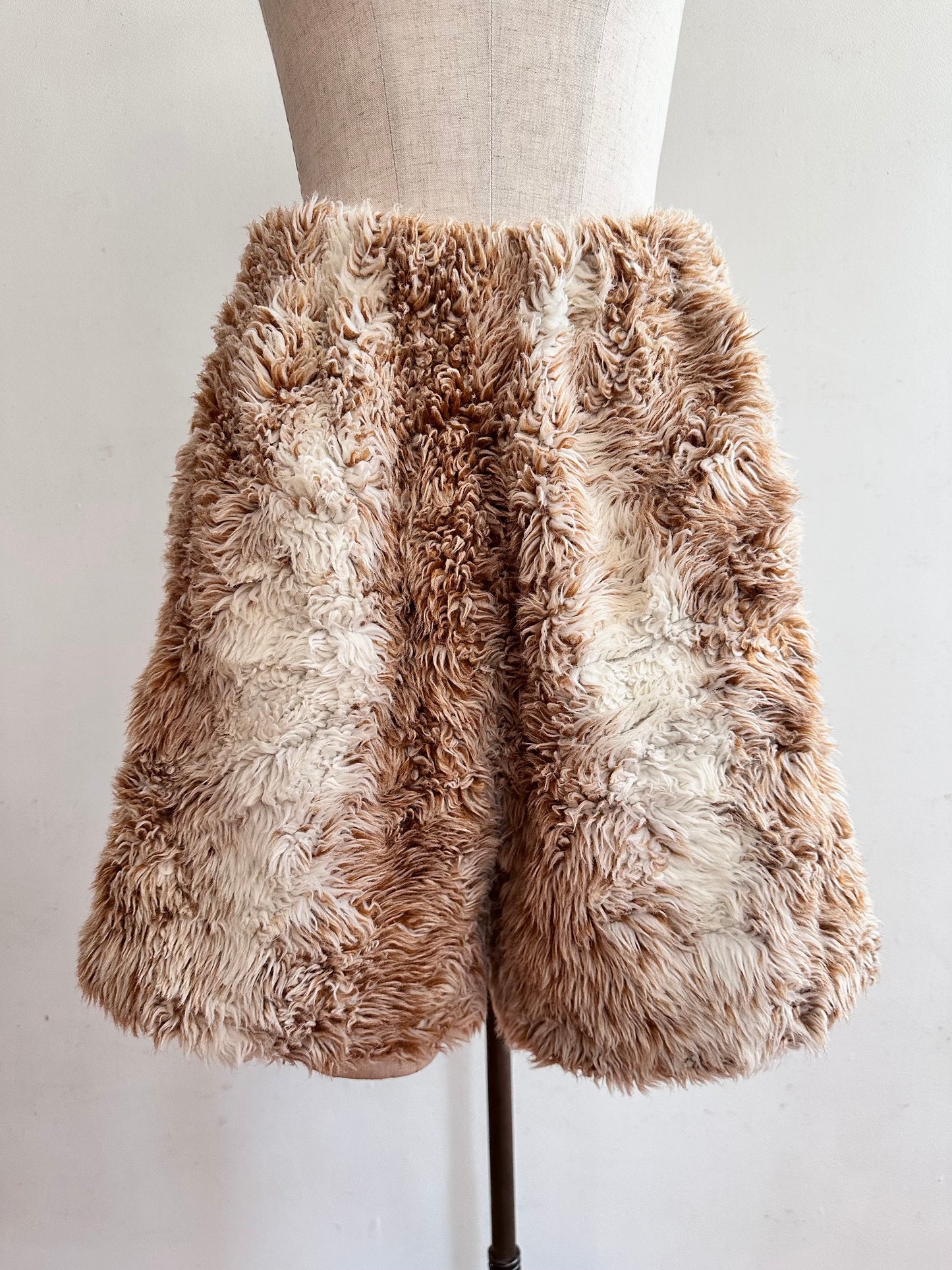old fur short pants / spaniel