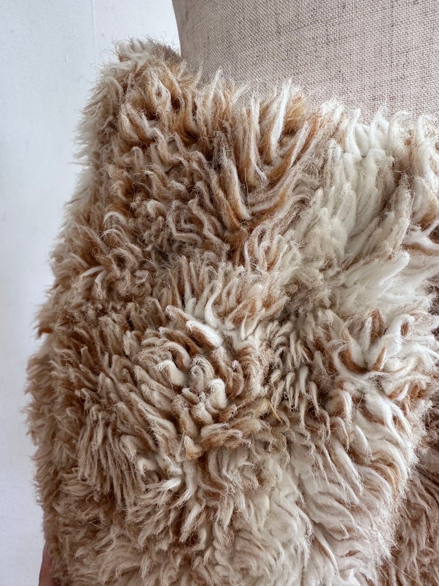 old fur short pants / spaniel
