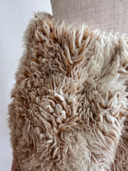 old fur short pants / spaniel